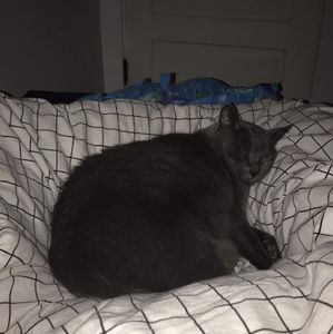 Meet your Posher, Hadyn